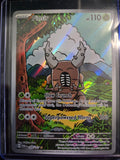 Pinsir illustration rare